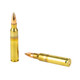 Sterling, 5.56X45MM NATO, 55 Gr, FMJ, 30 Rds