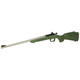 Keystone Sporting Arms Crickett Gen2 Youth, 22 LR, 16.13" Barrel, 1 Rds, Green/Black Webbing Stainless