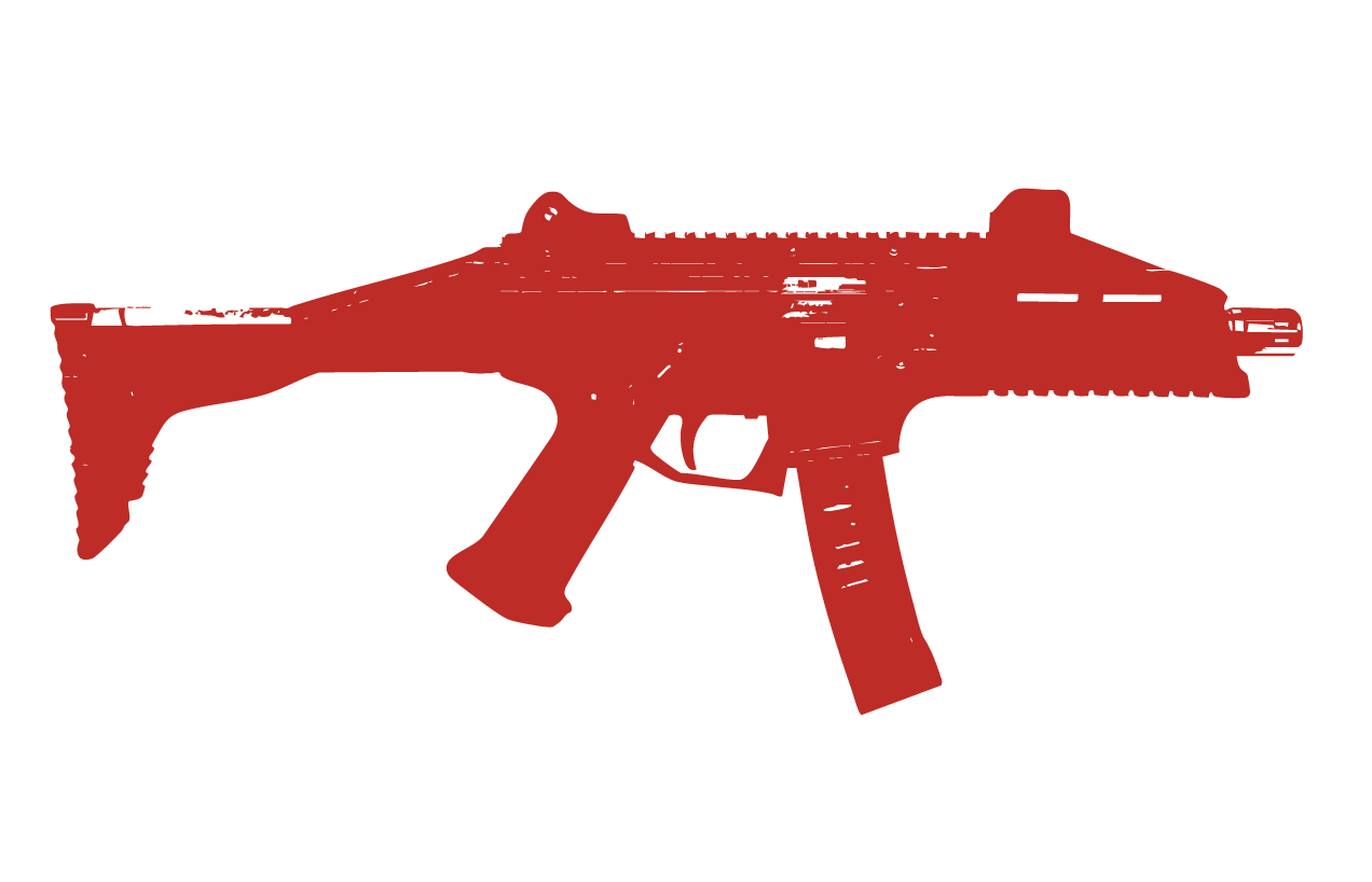 Pistol Caliber Carbine (PCC)