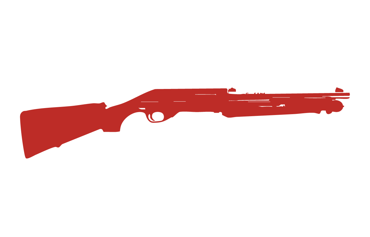 Short Barrel Shotguns (SBS)