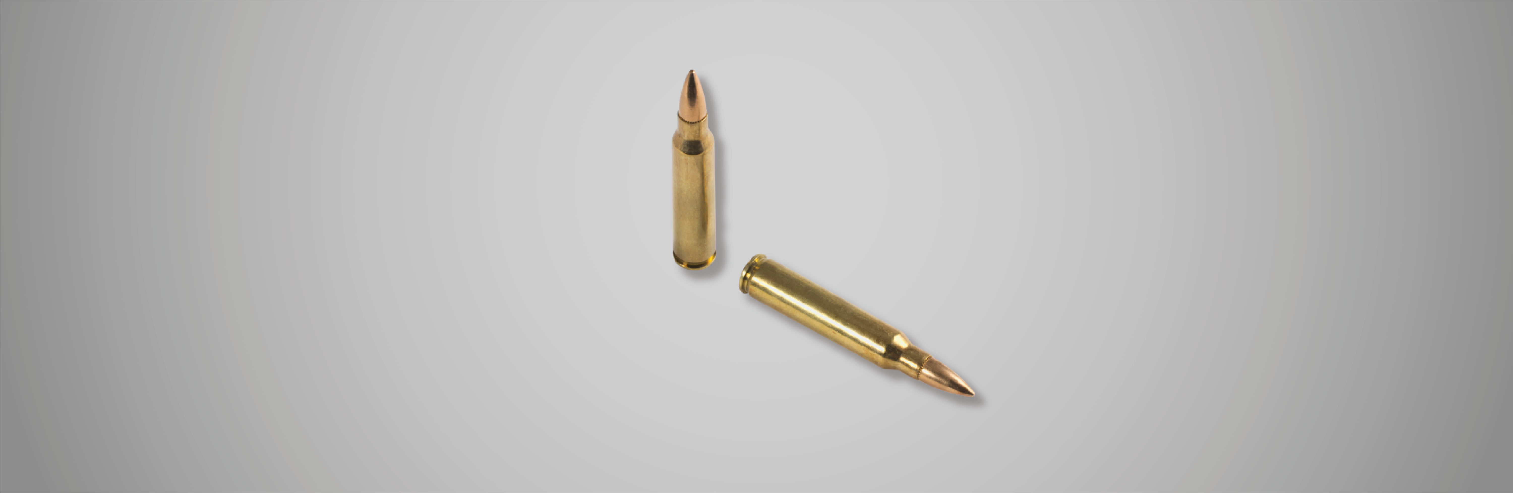 .223 Remington