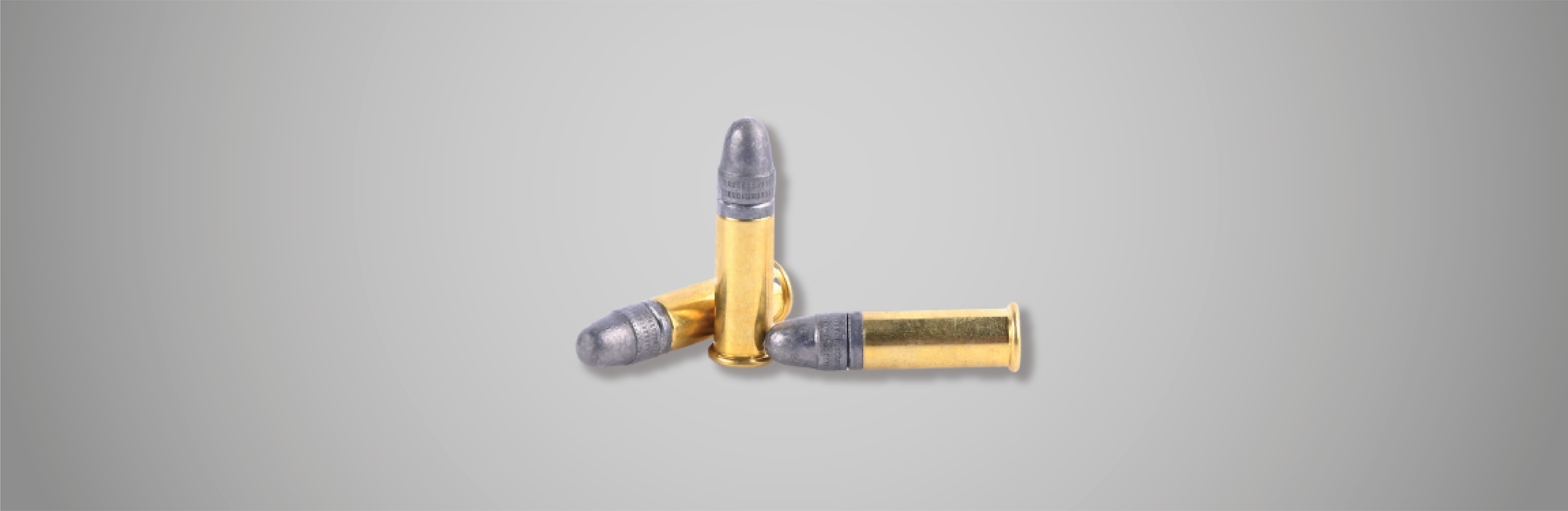 .22 LR