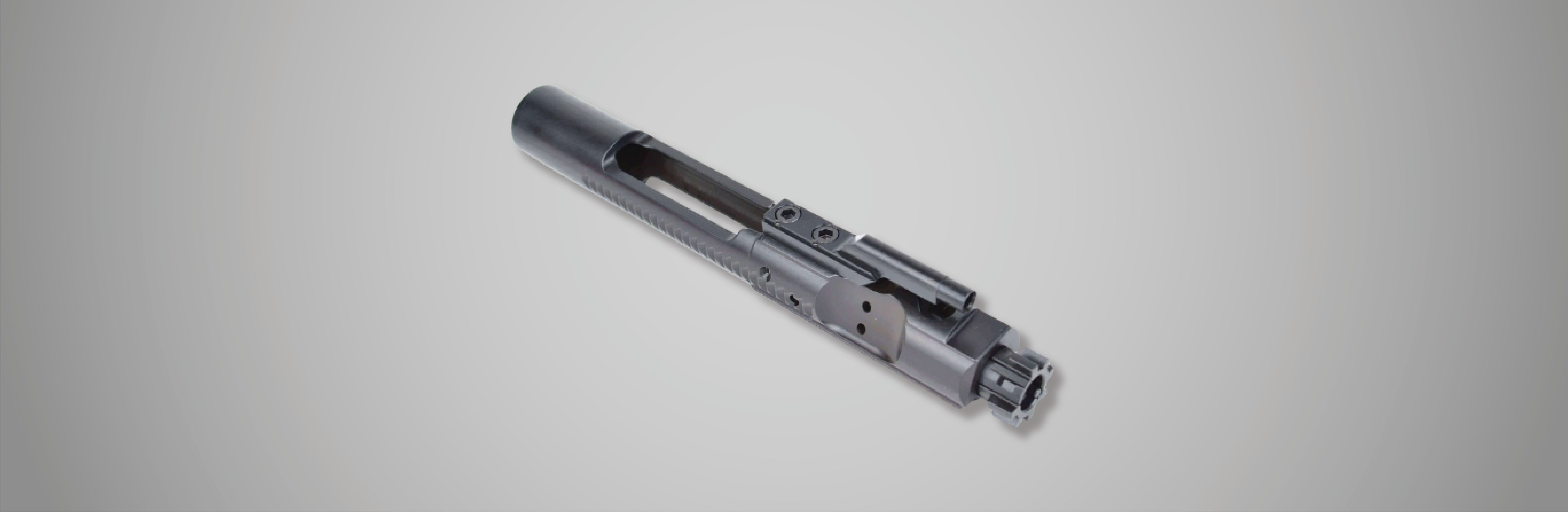 Bolts & Bolt Carrier Groups (BCG)
