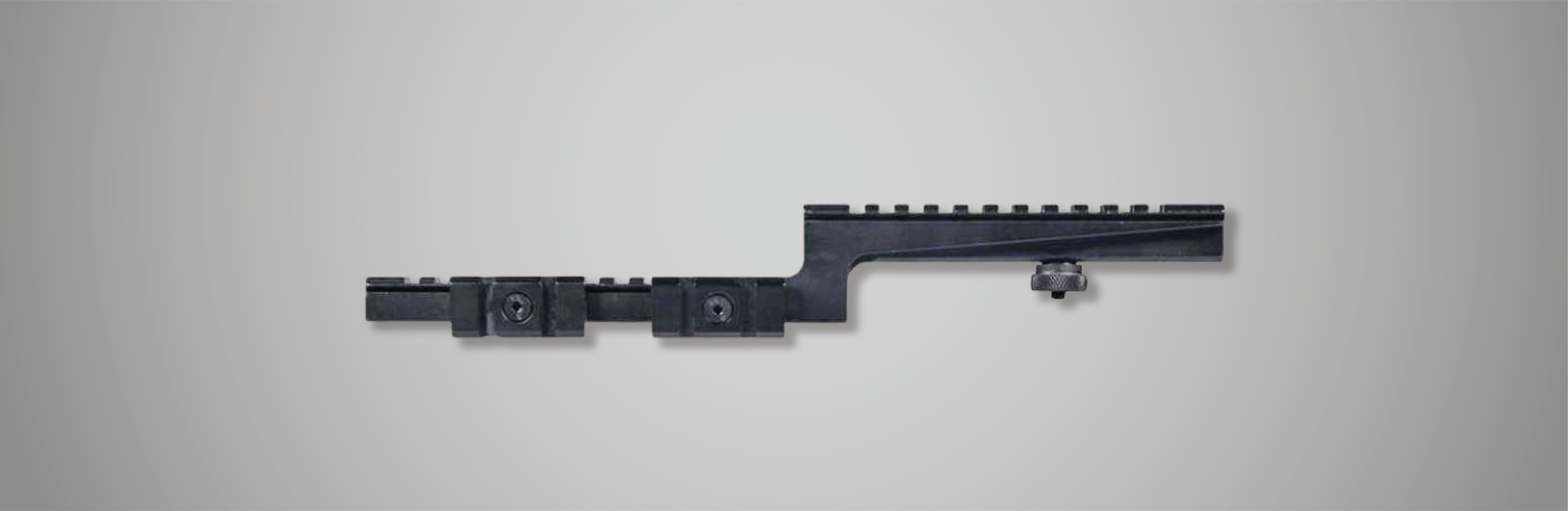 Laser Mounts