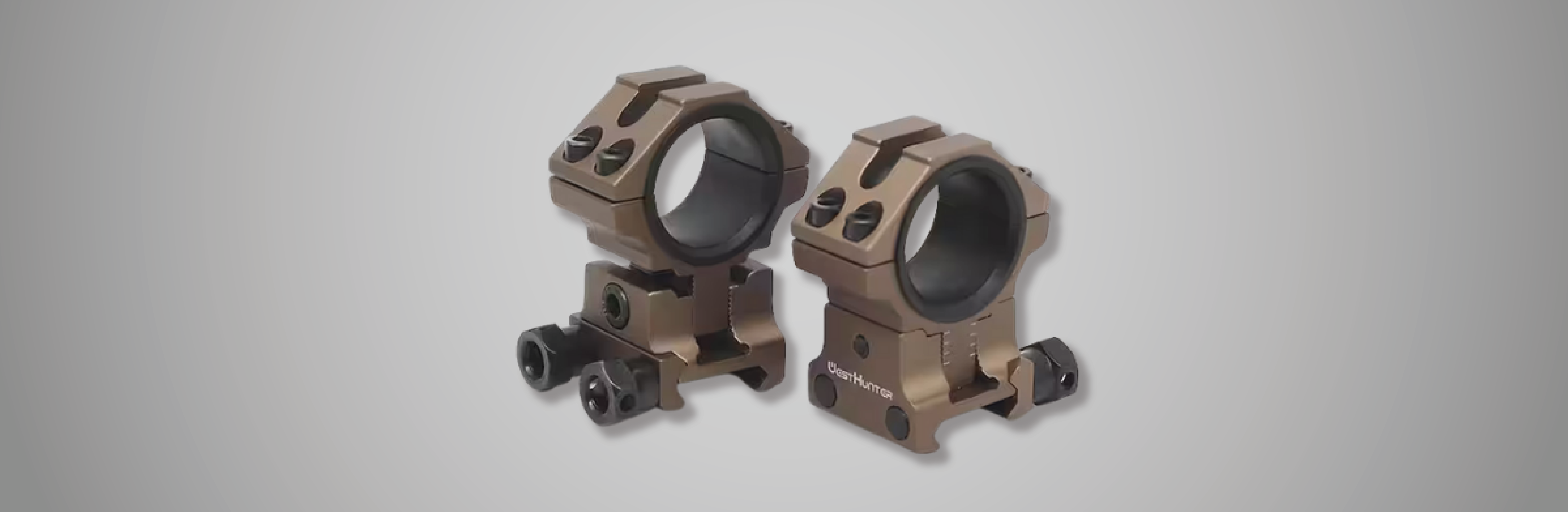 Mounts & Rings