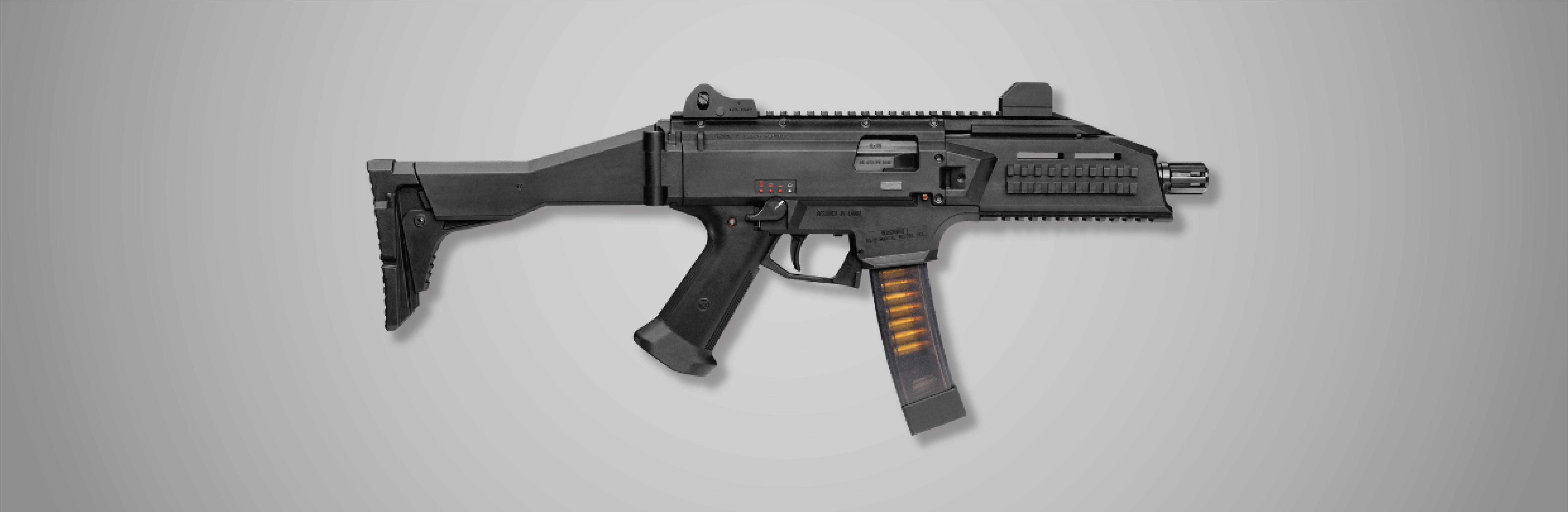 Pistol Caliber Carbine (PCC)