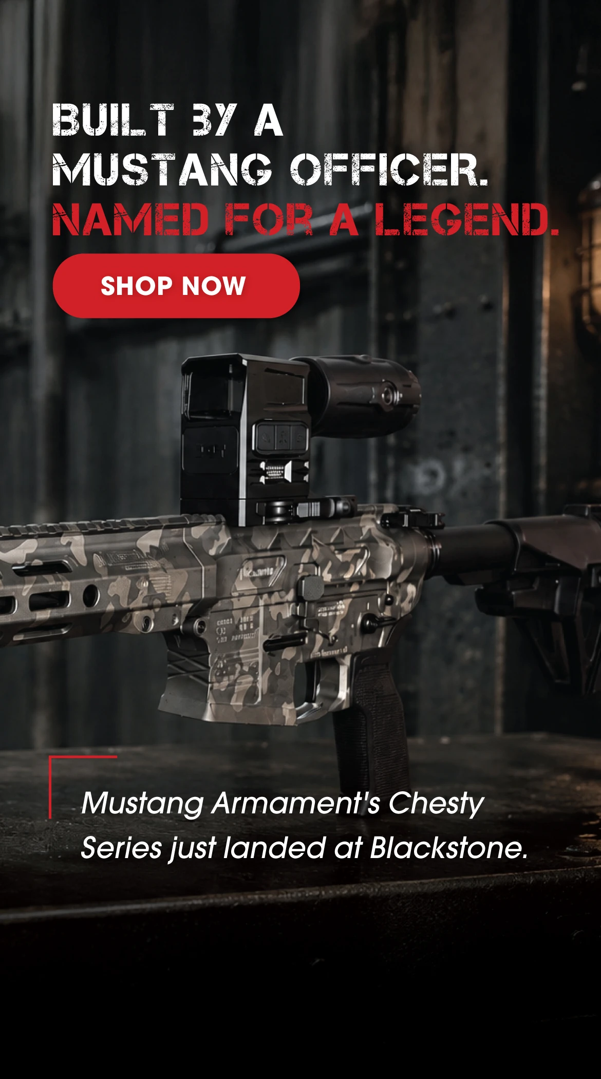Mustang Armament
