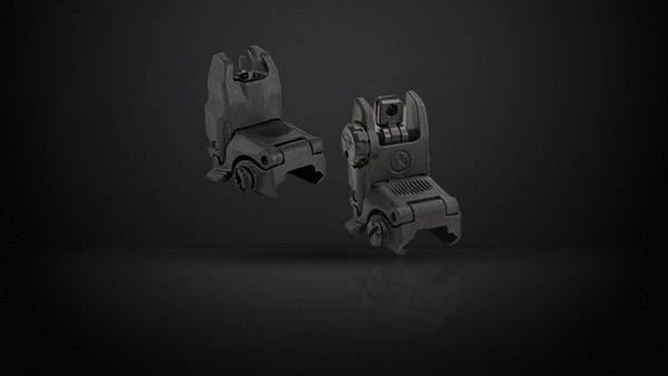Iron Sights