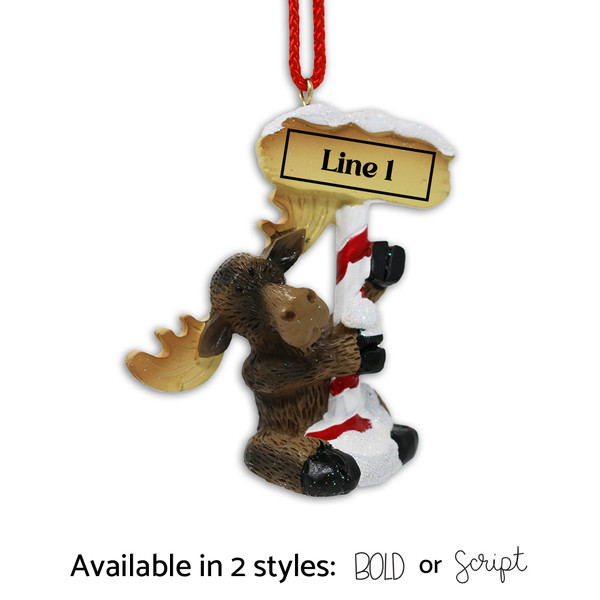 Personalized "Explorer B. Mooskin" Ornament