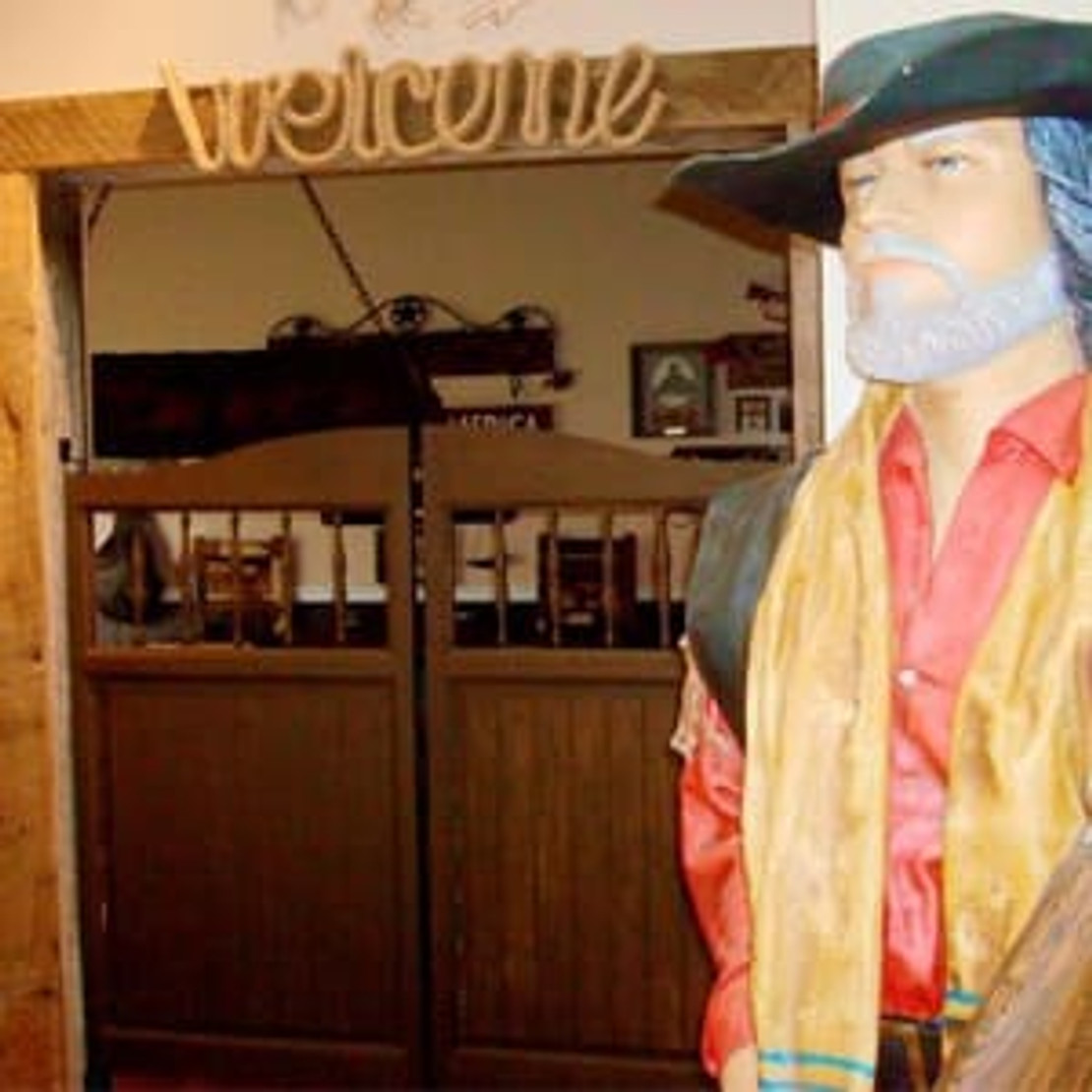 What are Saloon Doors? History & Functions of Saloon Doors What are Saloon Doors? History & Functions of Saloon Doors