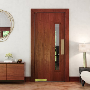 Simplifying Spaces with Minimalist Doors