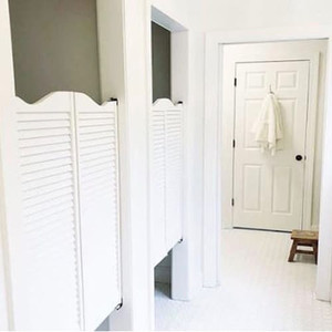 Louvered Shutter Door