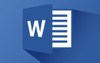 Microsoft Word