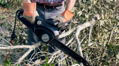 Gas vs. electric lawn and garden tools Gas vs. electric lawn and garden tools