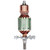 Bosch 1619PA5591 Armature Replacement Part for Table Saws