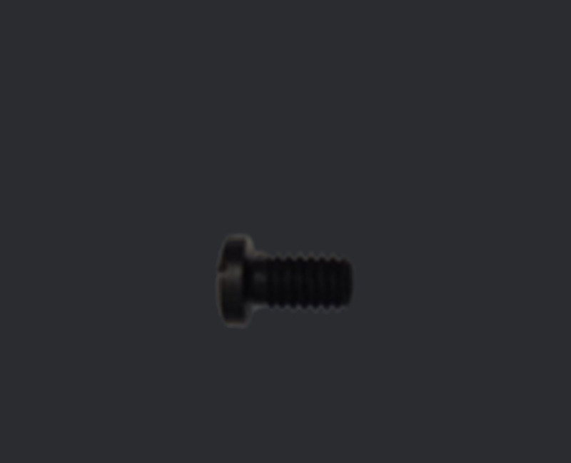 Loading Gate Screw (PRZ-LVRMAG-002)
