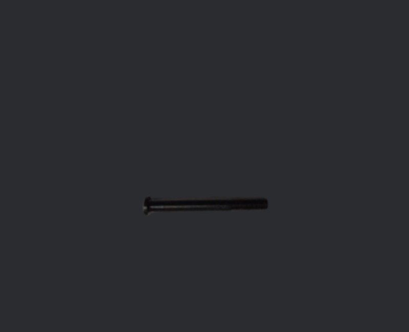 Rear Barrel Band Screw (PRZ-LR22-037)