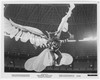 BREWSTER MCCLOUD (1971) 32000 Authentic Gelatin Silver Prints