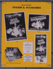 PETE'S DRAGON (1977) 32051 Movie Pressbook