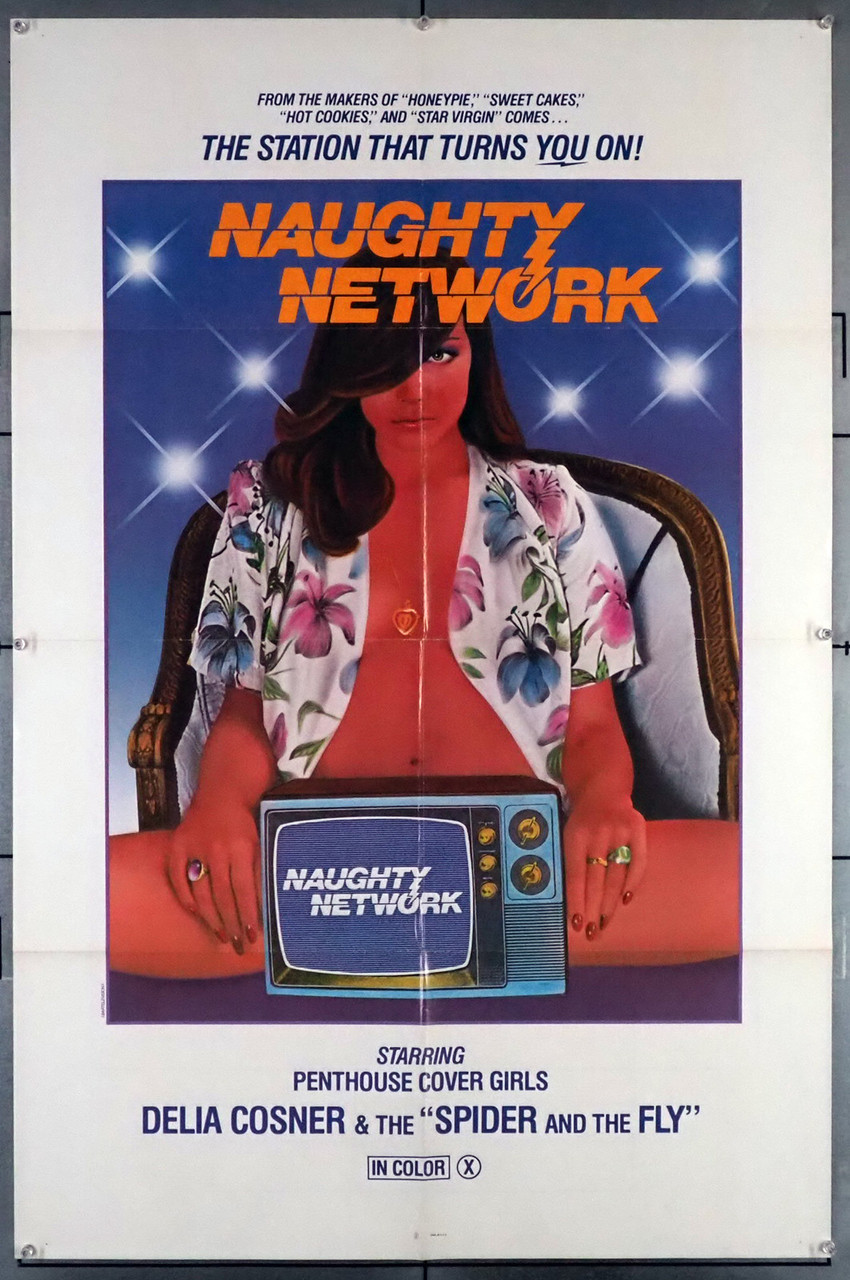 NAUGHTY NETWORK (1981) 30174 Movie Poster for X-Rated Film Delia Cosner  Howard Ziehm