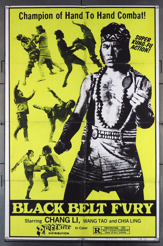 Original Black Belt Fury (70'S) movie poster in c8 condition for