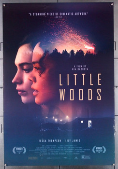 LITTLE WOODS (2018) 28583 Neon Original U.S. One-Sheet Poster (27x40)  Fine Plus Condition   Theater-Used