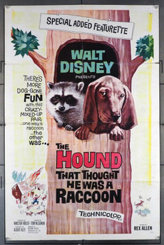 HOUND THAT THOUGHT HE WAS A RACOON, THE (1966) 11331  Disney Company Movie Poster Walt Disney Company Original One Sheet Poster  27x41  Folded.  Good Condition  Theater Used