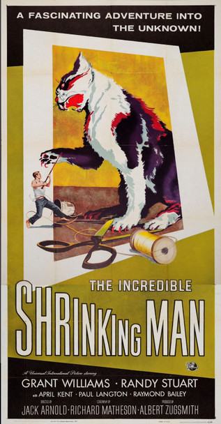 INCREDIBLE SHRINKING MAN, THE (1957) 32032
