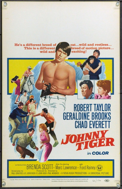 JOHNNY TIGER (1966) 21876 Original Universal Pictures Window Card (14x22).  Unfolded.  Very Fine.