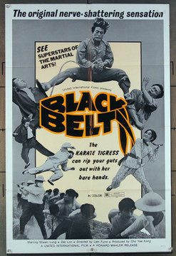 BLACK BELT (1974) 26810 Howard Mahler Films Original One-Sheet Poster   27x41  Folded  Very Fine Condition