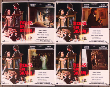 FIERAS EN BRAMA (1983) 27529 Original Mexican Set of Eight Lobby Cards (11x14)  Folded Once  Condition  Very Good Plus