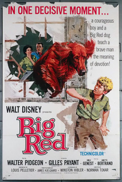 BIG RED (1962) 26066  Movie Poster  Walter Pidgeon  Emile Genest   Norman Tokar	 Original U.S. One-Sheet Poster (27x41)  Fair Condition Only  Theater-Used  Some damage