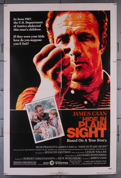 HIDE IN PLAIN SIGHT (1980) 30784 (27x41) Movie Poster  James Caan  Jill Eikenberry  Kenneth McMillan  Danny Aiello Original U.S. One-Sheet Poster (27x41)  Folded  Very Fine