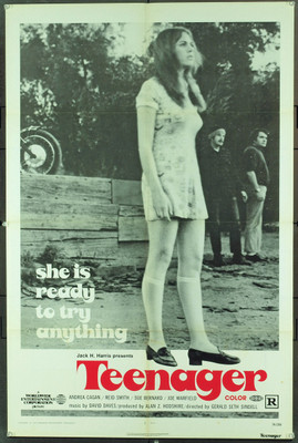 Original Teenager (1974) movie poster in VG condition for $55