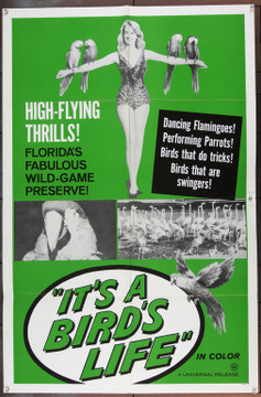 IT'S A BIRD'S LIFE (0) 3378 Movie Poster  Universal Short Subject (Mid-Sixties)  Scarce Poster Original Universal Short Subject One Sheet Poster (27x41).  Folded.  Fine Plus.