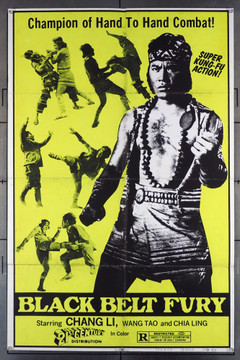 BLACK BELT FURY ( ) 26454 21st Century Distribution Original One-Sheet Poster  (27x41) Folded  Very Good to Very Good Plus Condition