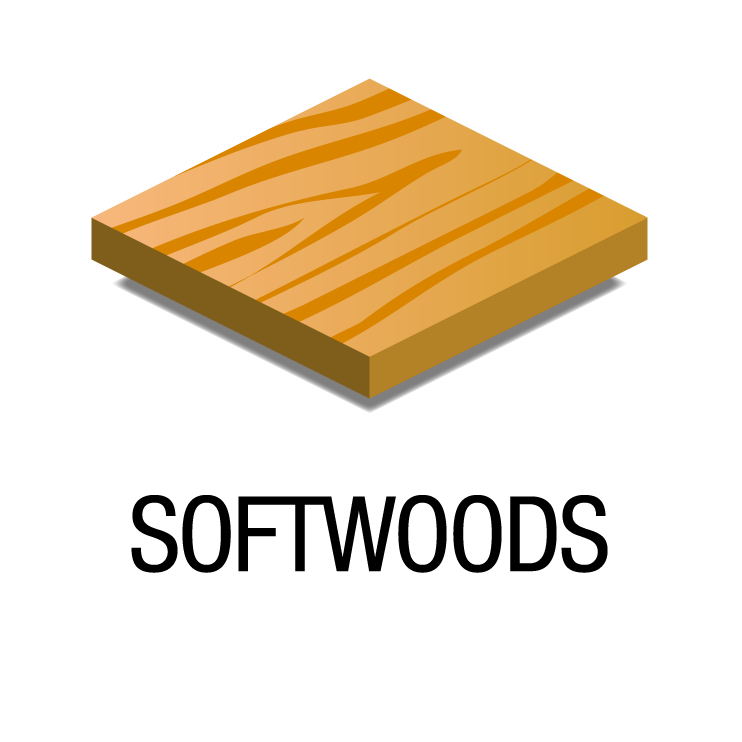 Softwoods