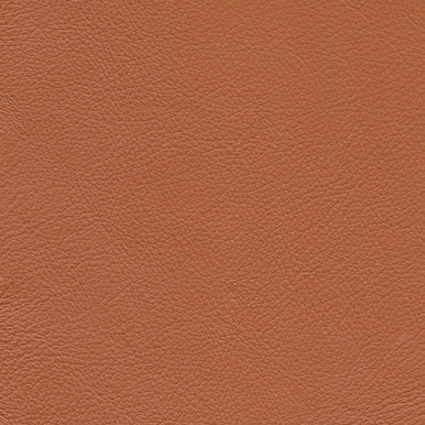 Tan Aniline Leather 2