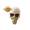 Skull Fountain by SUNS fountain firework