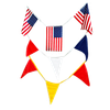 Red, White, Blue Pennant by Texas Pyro aerial cake