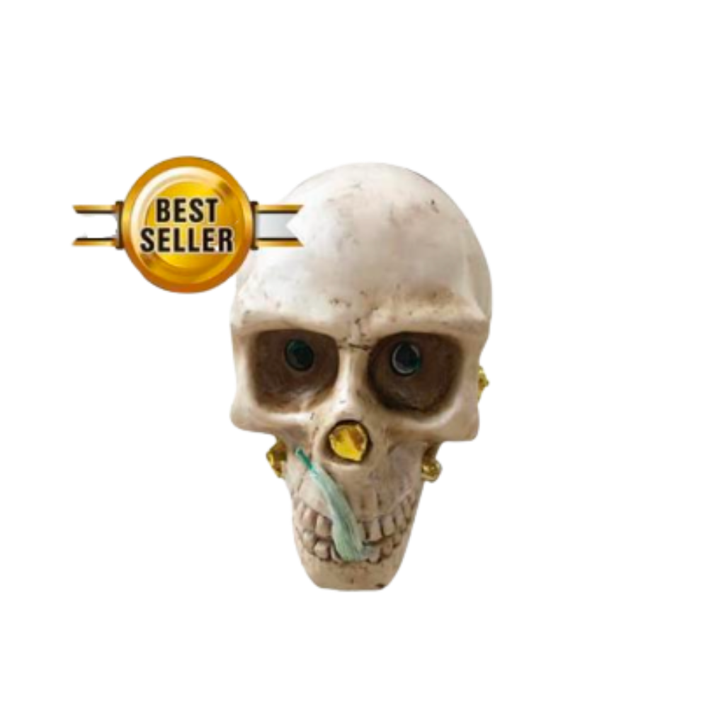 Skull Fountain by SUNS fountain firework