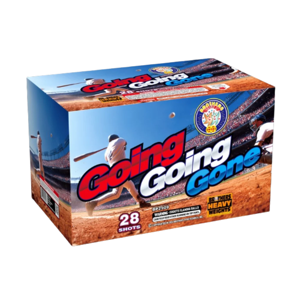 Going, Going, Gone 28 Shots by Brothers 500 gram aerial cake