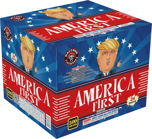 America First by Raccoon 500 gram aerial cake