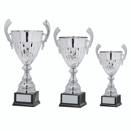 Cup Trophy 2065  Silver