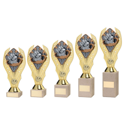 Martial Arts Award TYH365