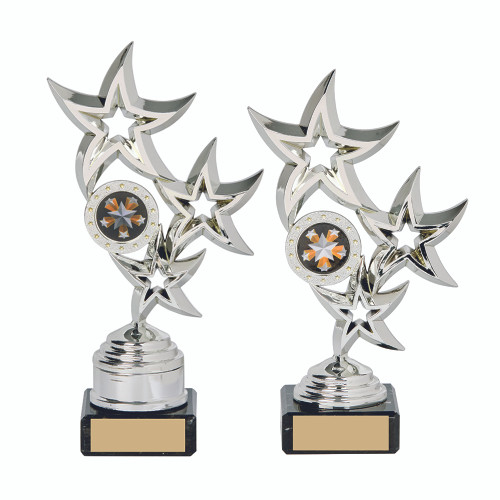 Star Trophy 2017 SILVER