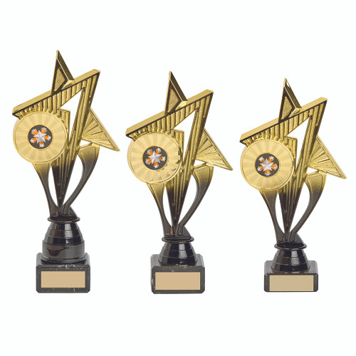 Holder Trophy 2024 GOLD