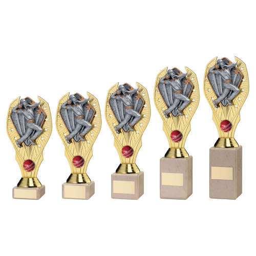 Cricket Bowling Award TYH125