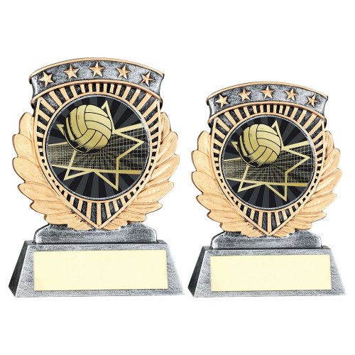 Volleyball Trophy 55RF650