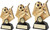 Football Trophy RF961